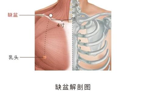 脖子下有个“聚宝盆”！每天拍它30下，通气血、养脏腑、止疼痛！